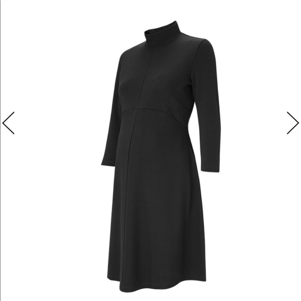 Isabella Oliver Maternity Dress